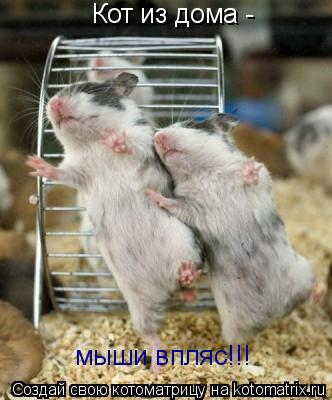 Кот из дома - мыши впляс!!!... Котоматрица: Кот из дома - мыши впляс!!!