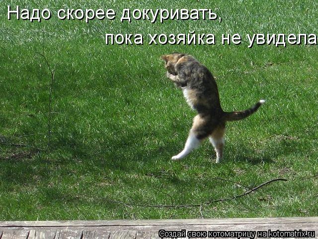 Котоматрица: Надо скорее докуривать,  пока хозяйка не увидела