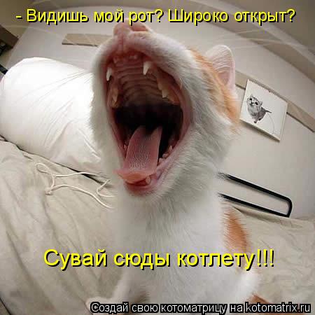 - Видишь мой рот? Широко открыт? Сувай сюды котлету!!!... Котоматрица: - Видишь мой рот? Широко открыт? Сувай сюды котлету!!!