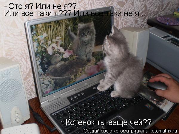 - Это я? Или не я?? Или все-таки я??? Или все-таки не я... - Котенок ты ваще чей??... Котоматрица: - Это я? Или не я?? Или все-таки я??? Или все-таки не я... - Котенок ты ваще чей??