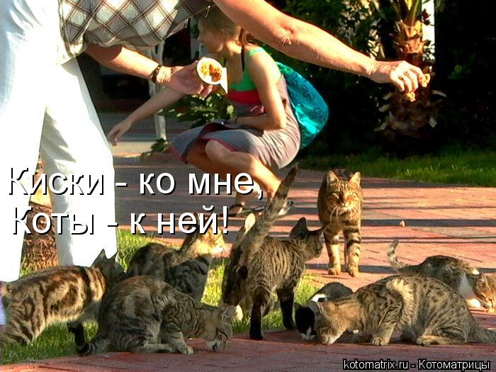 Киски - ко мне, Коты - к ней!... Котоматрица: Киски - ко мне, Коты - к ней!