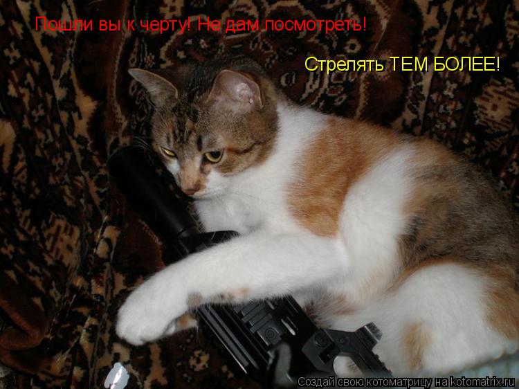 Котоматрица: Пошли вы к черту! Не дам посмотреть! Стрелять ТЕМ БОЛЕЕ!