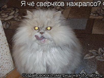 Котоматрица: Я чё сверчков нажралсо? Фигли глаза горят..