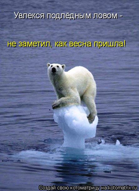 Котоматрица: Увлекся подлёдным ловом -  не заметил, как весна пришла!