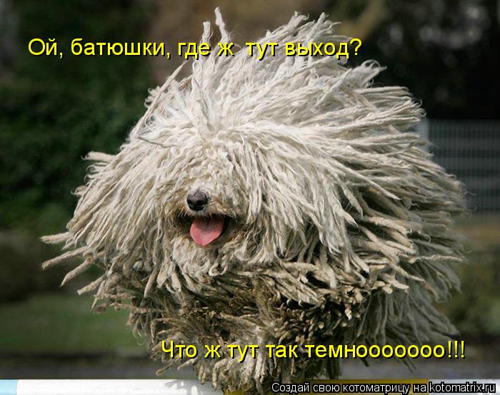 Ой, батюшки, где ж тут выход? Что ж тут так темнооооооо!!!... Котоматрица: Ой, батюшки, где ж тут выход? Что ж тут так темнооооооо!!!