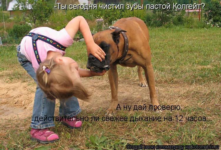 -Ты сегодня чистил зубы пастой Колгейт? А ну дай проверю, действительно ли свежее дыхание на 12 ча... Котоматрица: -Ты сегодня чистил зубы пастой Колгейт? А ну дай проверю, действительно ли свежее дыхание на 12 часов...