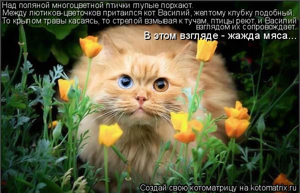 Над поляной многоцветной птички глупые порхают. Между лютиков-цветочков притаился кот Василий, желтом... Котоматрица: Над поляной многоцветной птички глупые порхают. Между лютиков-цветочков притаился кот Василий, желтому клубку подобный. То крылом травы ка