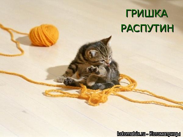 ГРИШКА РАСПУТИН... Котоматрица: ГРИШКА РАСПУТИН