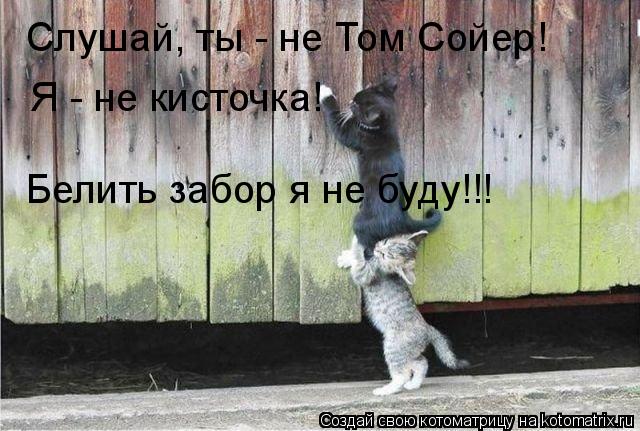Котоматрица: Слушай, ты - не Том Сойер! Я - не кисточка! Белить забор я не буду!!!