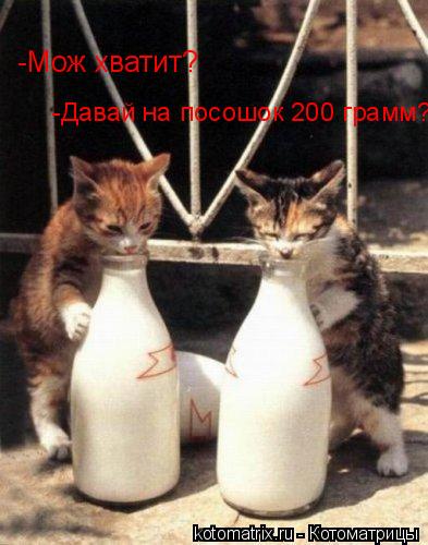Котоматрица: -Мож хватит? -Давай на посошок 200 грамм?