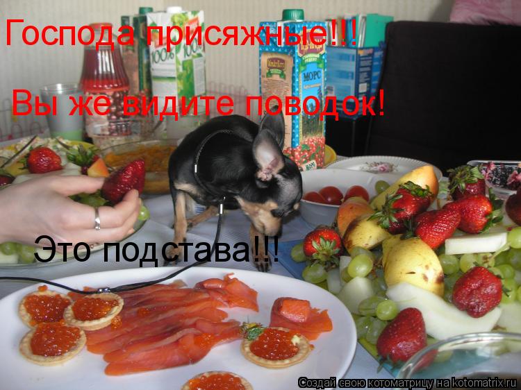 Котоматрица: Господа присяжные!!!  Вы же видите поводок! Это подстава!!!