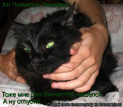 Котоматрица: Тоже мне Дин Винчестер нашелся. А ну отпусти! Ха! Поймался, Люцифер!