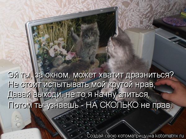 Котоматрица: Эй ты, за окном, может хватит дразниться? Не стоит испытывать мой крутой нрав, Давай выходи, не то я начну злиться, Потом ты узнаешь - НА СКОЛЬ