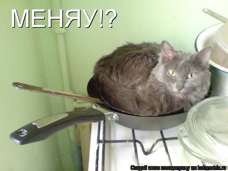Котоматрица: МЕНЯУ!?