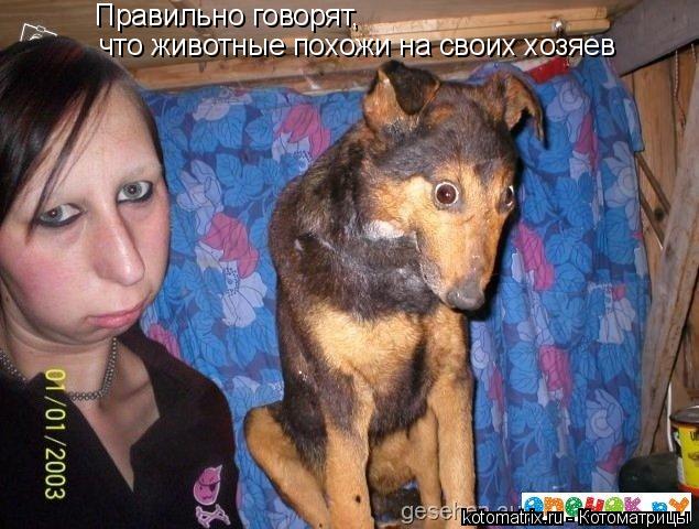 Котоматрица: Правильно говорят, что животные похожи на своих хозяев