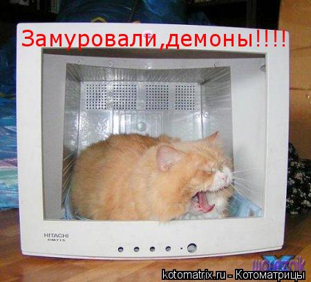 Котоматрица: Замуровали,демоны!!!!