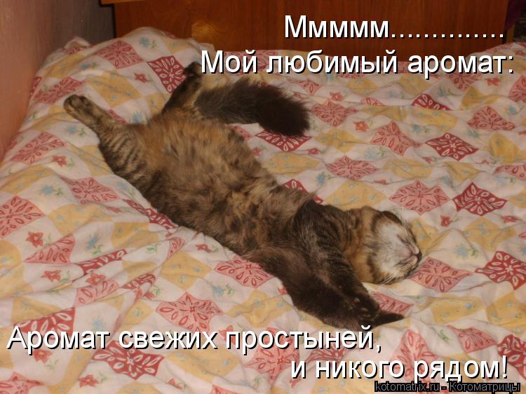 Ммммм.............. Мой любимый аромат: Аромат свежих простыней, и никого рядом!... Котоматрица: Ммммм.............. Мой любимый аромат: Аромат свежих простыней, и никого рядом!