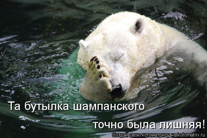Котоматрица: Та бутылка шампанского  точно была лишняя!