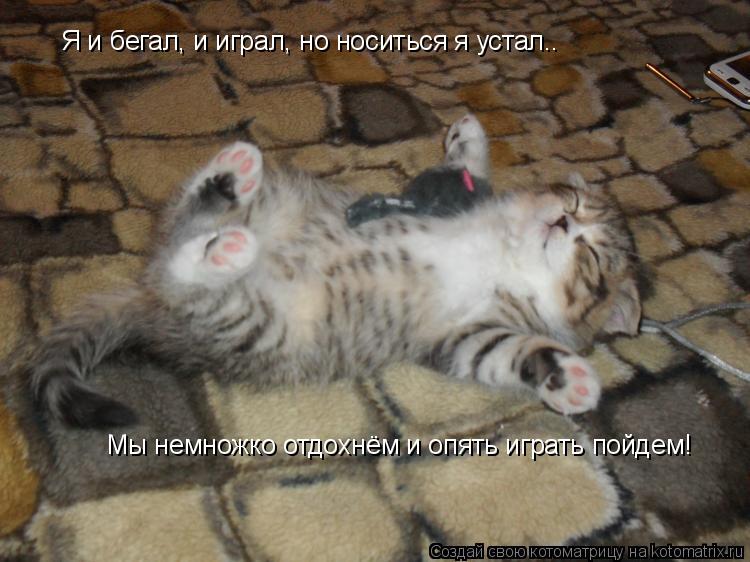 Котоматрица: Я и бегал, и играл, но носиться я устал.. Мы немножко отдохнём и опять играть пойдем!