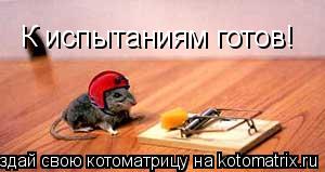 Котоматрица: К испытаниям готов!