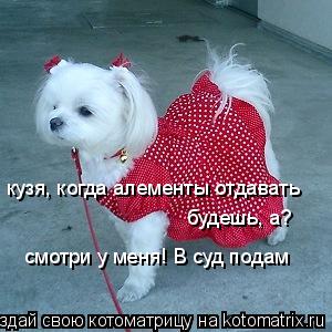 Котоматрица: кузя, когда алементы отдавать будешь, а? смотри у меня! В суд подам