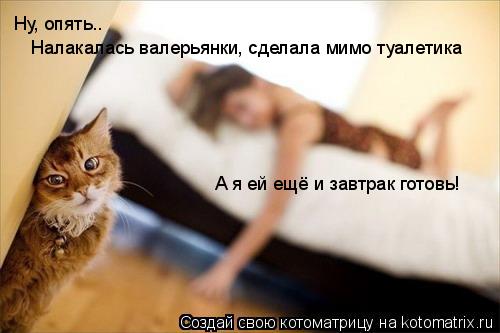 Котоматрица: Ну, опять.. Налакалась валерьянки, сделала мимо туалетика А я ей ещё и завтрак готовь!