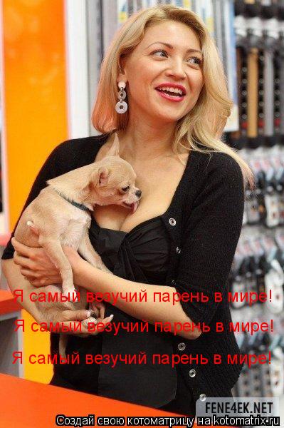 Котоматрица: Я самый везучий парень в мире! Я самый везучий парень в мире! Я самый везучий парень в мире! Я самый везучий парень в мире!