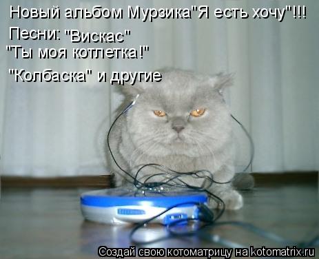 Котоматрица: Новый альбом Мурзика"Я есть хочу"!!! Песни: "Вискас" "Ты моя котлетка!" "Колбаска" и другие