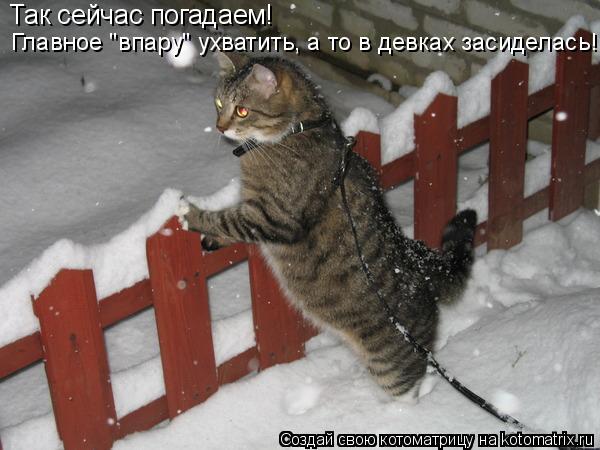 Котоматрица: Так сейчас погадаем! Главное "впару" ухватить, а то в девках засиделась!!!
