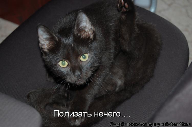 Котоматрица: Полизать нечего....