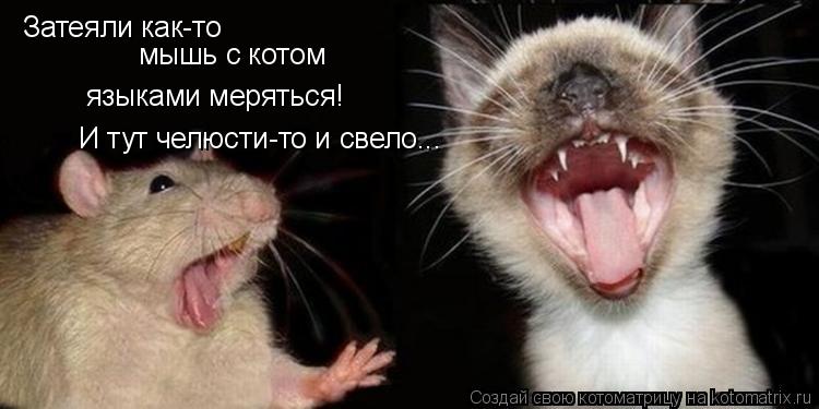 Котоматрица: Затеяли как-то мышь с котом языками меряться! И тут челюсти-то и свело...