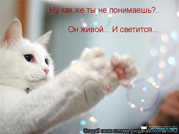 Котоматрица: Ну как же ты не понимаешь?.. Он живой... И светится...