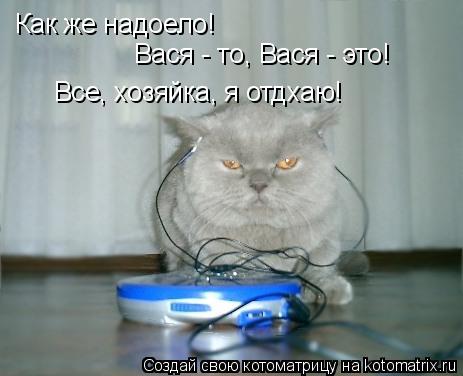 Котоматрица: Как же надоело! Вася - то, Вася - это! Все, хозяйка, я отдхаю!