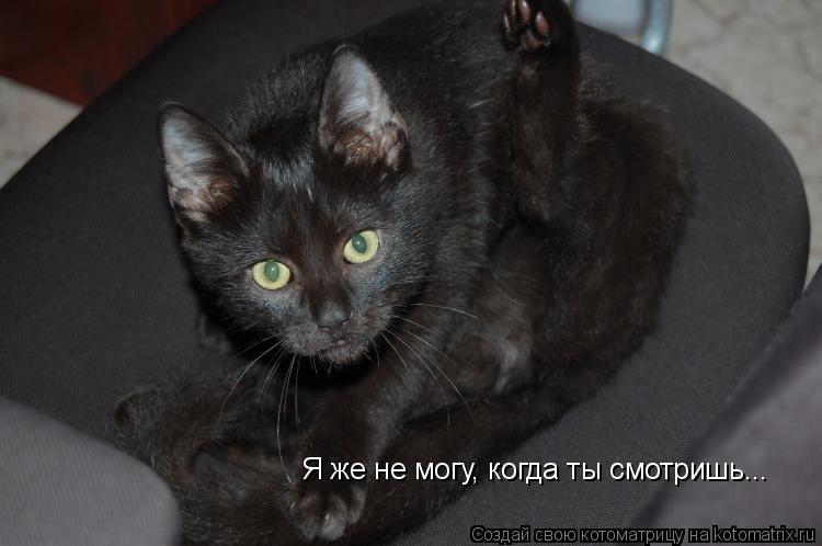 Котоматрица: Я же не могу, когда ты смотришь...