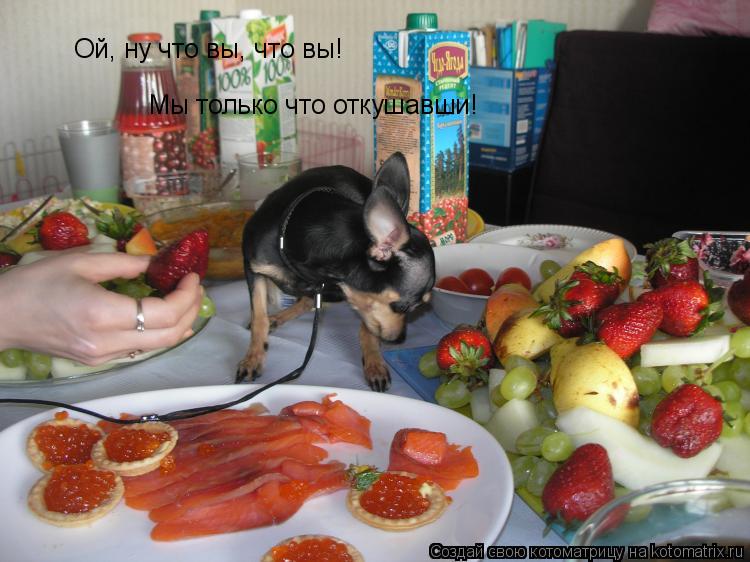 Котоматрица: Ой, ну что вы, что вы! Мы только что откушавши!