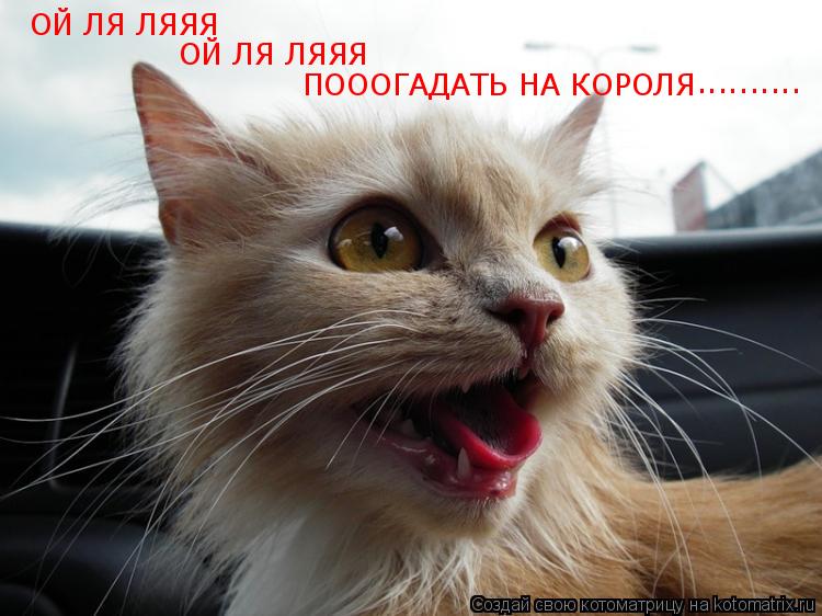Котоматрица: ОЙ ЛЯ ЛЯЯЯ ОЙ ЛЯ ЛЯЯЯ ПОООГАДАТЬ НА КОРОЛЯ ..........