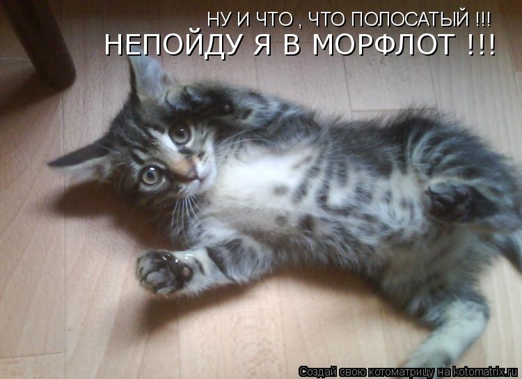 Котоматрица: НУ И ЧТО , ЧТО ПОЛОСАТЫЙ !!! НЕПОЙДУ Я В МОРФЛОТ !!!