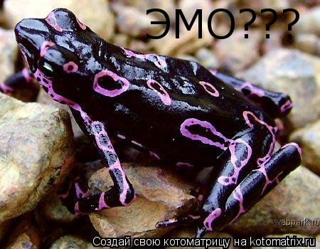 Котоматрица: ЭМО???