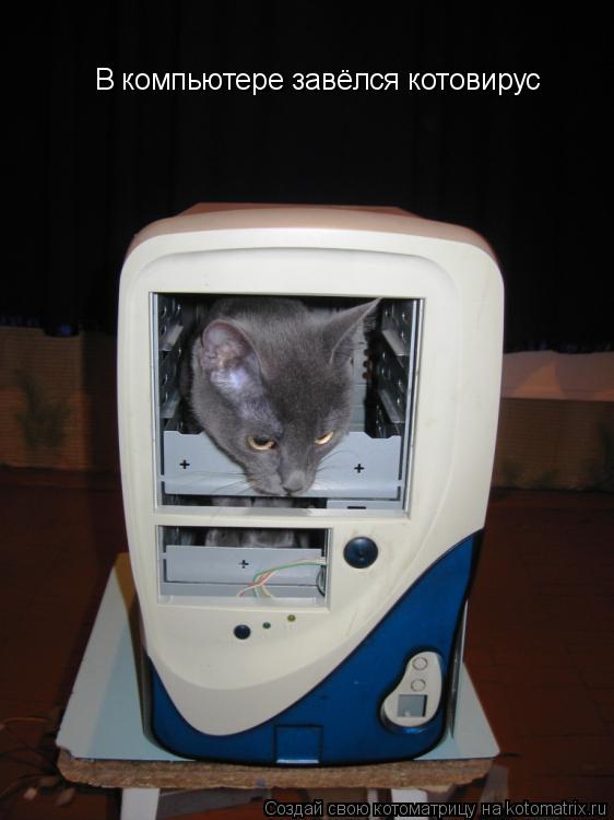 Котоматрица: В компьютере завёлся котовирус