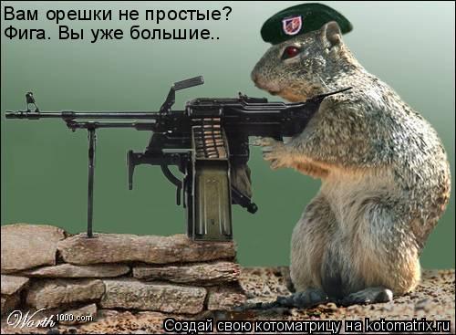 Котоматрица: Вам орешки не простые? Фига. Вы уже большие..
