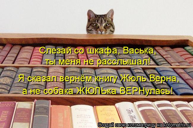 Котоматрица: Слезай со шкафа, Васька,  ты меня не расслышал!  Я сказал вернём книгу Жюль Верна,  а не собака ЖЮЛЬка ВЕРНулась!