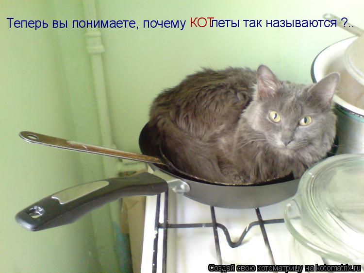 Котоматрица: Теперь вы понимаете, почему КОТ леты так называются ?..