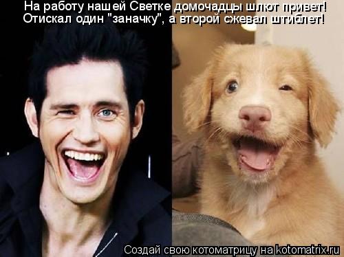 Котоматрица: На работу нашей Светке домочадцы шлют привет! Отискал один "заначку", а второй сжевал штиблет!