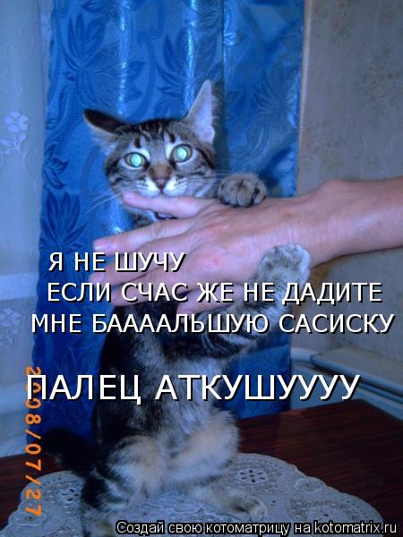 Котоматрица: Я НЕ ШУЧУ ЕСЛИ СЧАС ЖЕ НЕ ДАДИТЕ МНЕ БААААЛЬШУЮ САСИСКУ ПАЛЕЦ АТКУШУУУУ