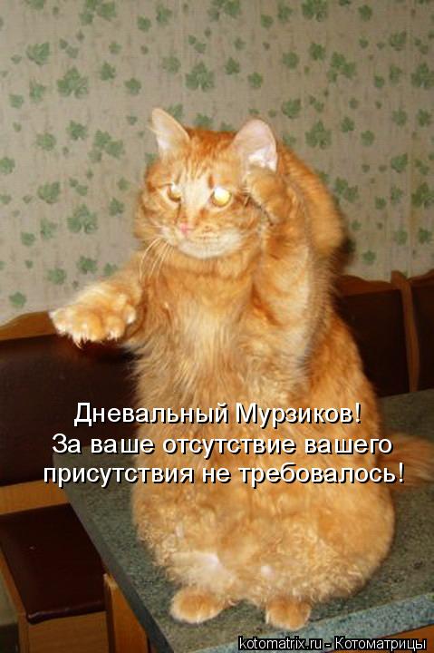 Котоматрица: Дневальный Мурзиков!  За ваше отсутствие вашего присутствия не требовалось!