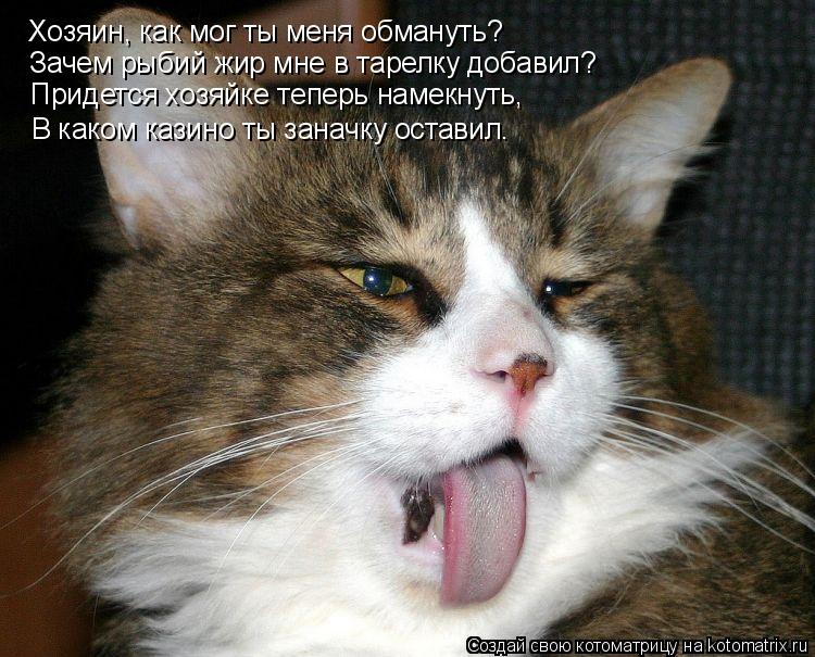Котоматрица: Хозяин, как мог ты меня обмануть? Зачем рыбий жир мне в тарелку добавил? Придется хозяйке теперь намекнуть, В каком казино ты заначку остави