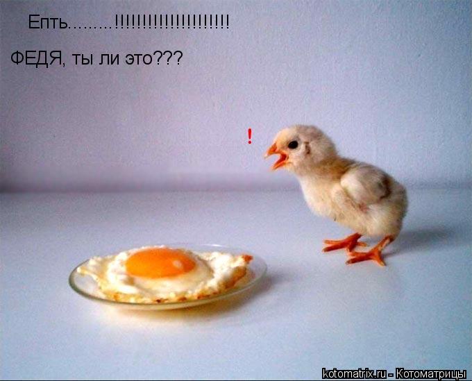 Котоматрица: Епть.........!!!!!!!!!!!!!!!!!!!!! ФЕДЯ, ты ли это???