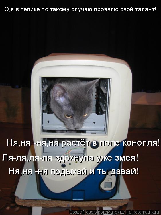 Котоматрица: О,я в телике по такому случаю проявлю свой талант! Ня,ня -ня,ня растёт в поле конопля! Ля-ля,ля-ля здохнула уже змея! Ня,ня -ня подыхай и ты дава