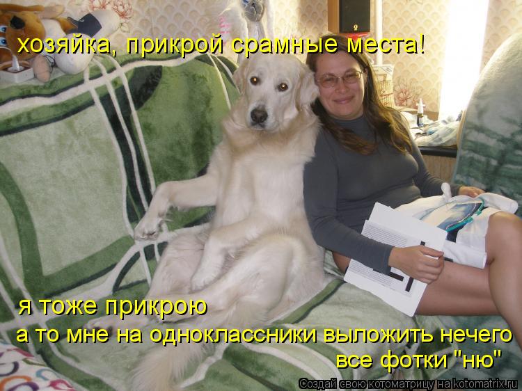 Котоматрица: хозяйка, прикрой срамные места! я тоже прикрою а то мне на одноклассники выложить нечего все фотки "ню"