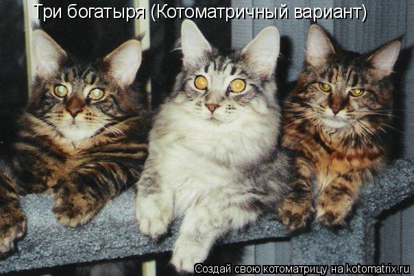 Котоматрица: Три богатыря (Котоматричный вариант)